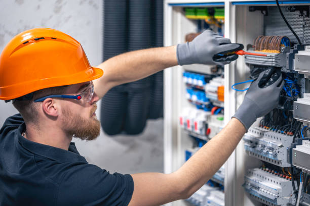 Best Electric Panel Repair  in Hampden Sydney, VA